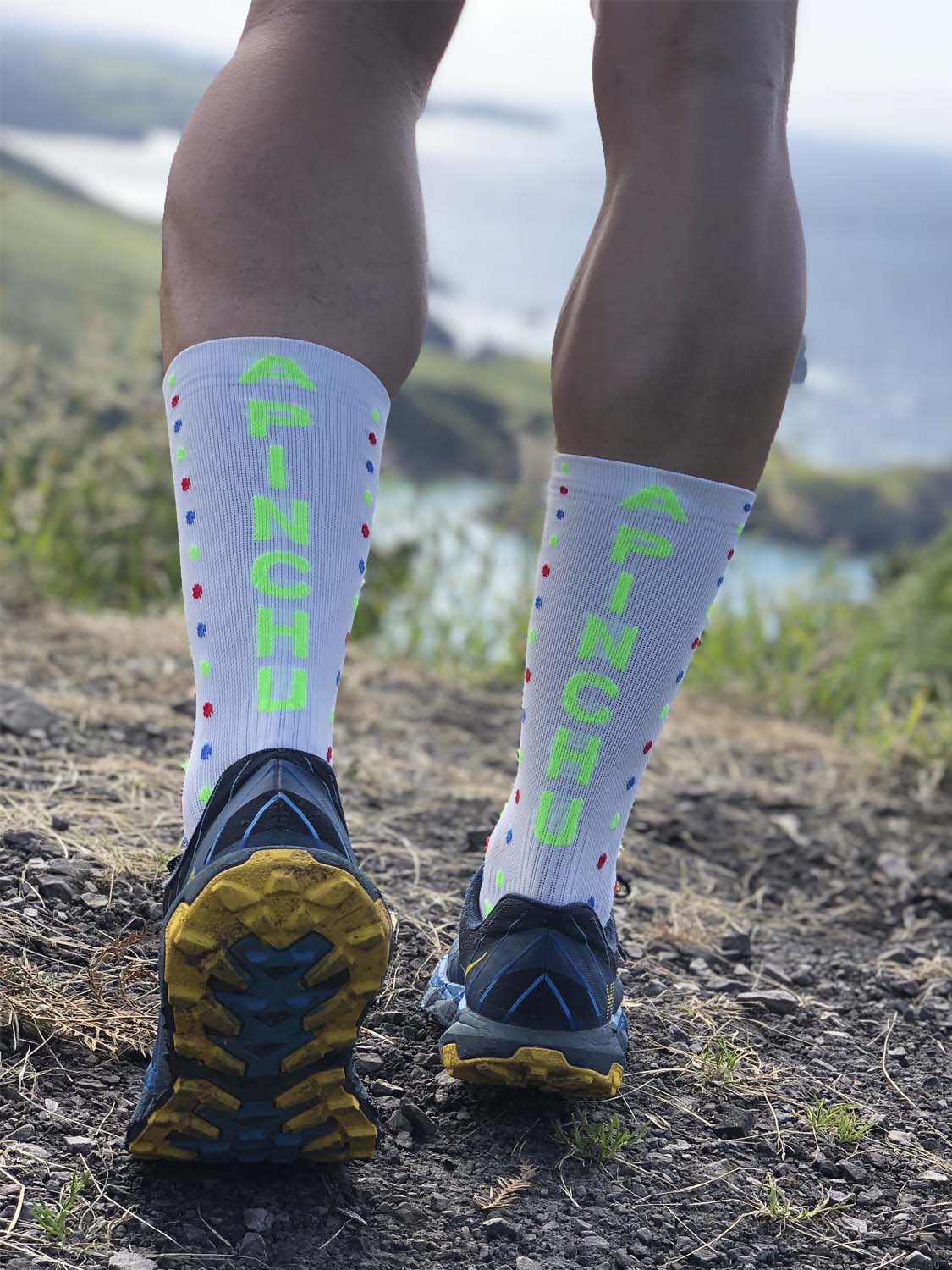 CALCETINES FIND YOUR EVEREST LONG CUT A PINCHU - Blanco - Image 11
